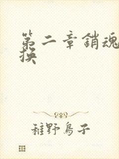 第二章销魂的交换封面