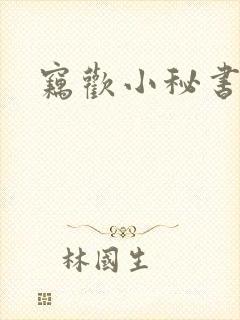 窃欢小秘书封面