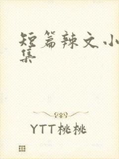 短篇辣文小说合集