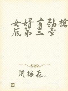 女婿有劲枪枪到底第三章封面