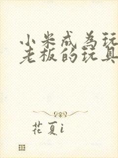 小米成为玩具店老板的玩具