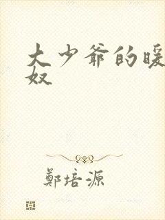 大少爷的暖床小奴