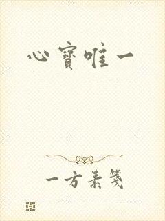 心宝唯一封面