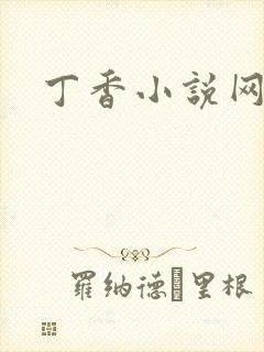丁香小说网