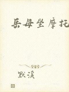 岳母坐摩托封面