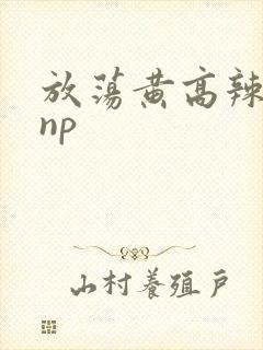 放荡黄高辣h文np