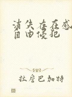 消失存在感消失自由侵犯封面