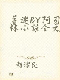 着迷BY阿司匹林小说全文免费阅读