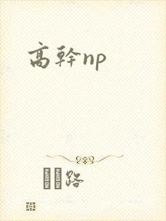 高干np