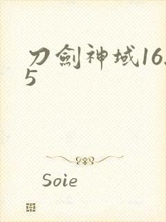 刀剑神域16.5