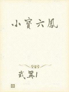 小宝六凤封面