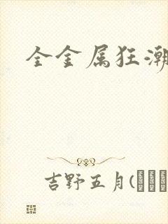 全金属狂潮小说