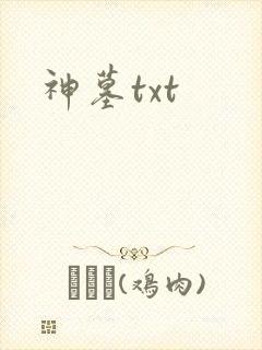神墓txt