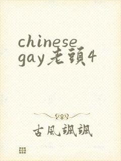 chinesegay老头4