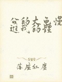 公的大龟慢慢挺进我的体