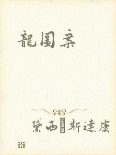 龙图案