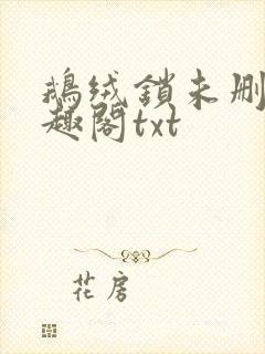 鹅绒锁未删除笔趣阁txt