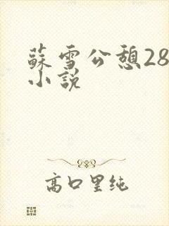 苏雪公憩28篇小说