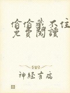 偷偷藏不住小说免费阅读