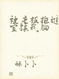 被老板抱进办公室揉我胸