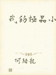 我的极品小姨封面