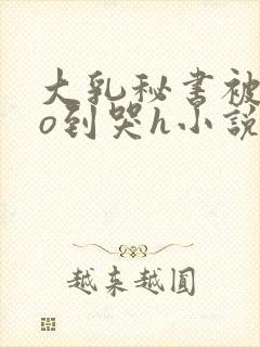 大乳秘书被cao到哭h小说