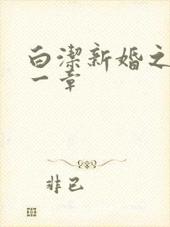 白洁新婚之夜第一章