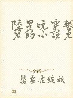 陆星晚穿越成婴儿的小说免费阅读全文封面