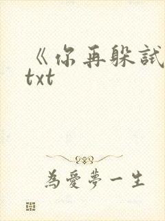 《你再躲试试》txt