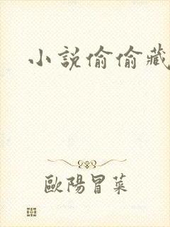 小说偷偷藏不住