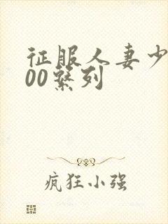 征服人妻少妇500系列封面