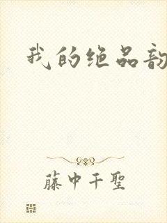 我的绝品韵母封面