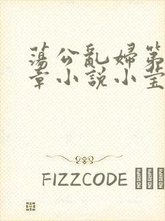 荡公乱妇第51章小说小莹