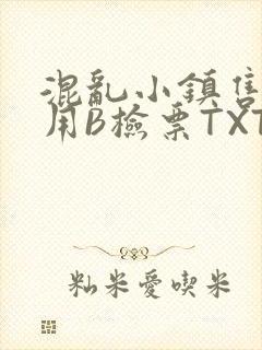 混乱小镇售票员用B检票TXT封面