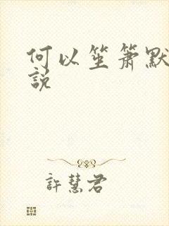 何以笙箫默 小说