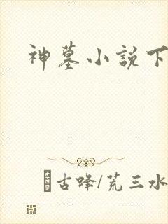 神墓小说下载封面