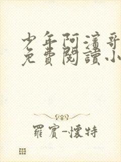 少年阿滨哥全文免费阅读小说封面