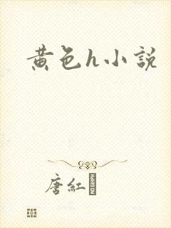 黄色h小说封面