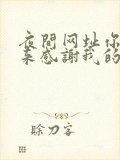 夜间网址你会回来感谢我的