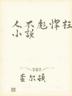 人不彪悍枉少年小说封面