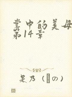 掌中的美母版主第14章