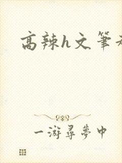 高辣h文笔趣阁