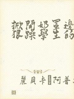 掀开奶罩边躁狠狠躁学生的小文字