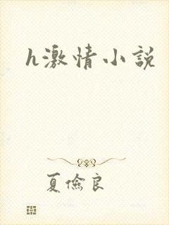h激情小说