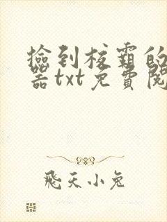 捡到校霸的遥控器txt免费阅读by阳阳