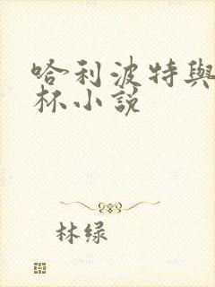 哈利波特与火焰杯小说