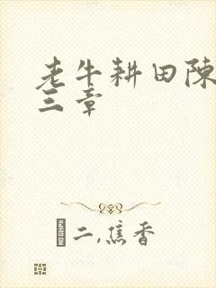 老牛耕田陈雪第三章