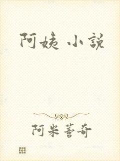 阿姨 小说