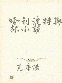 哈利波特与火焰杯小说封面