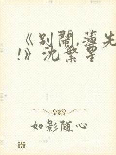 《别闹,薄先生!》沈繁星